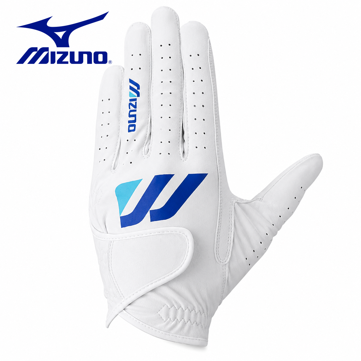 Mizuno Men’s Golf Gloves Singl - Golf Equipment Rental review and price